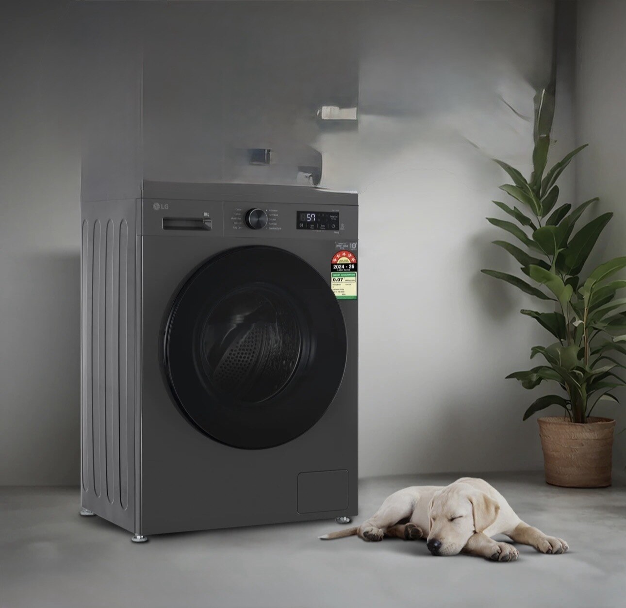 Fully Automatic Washing Machine Service Ranchi